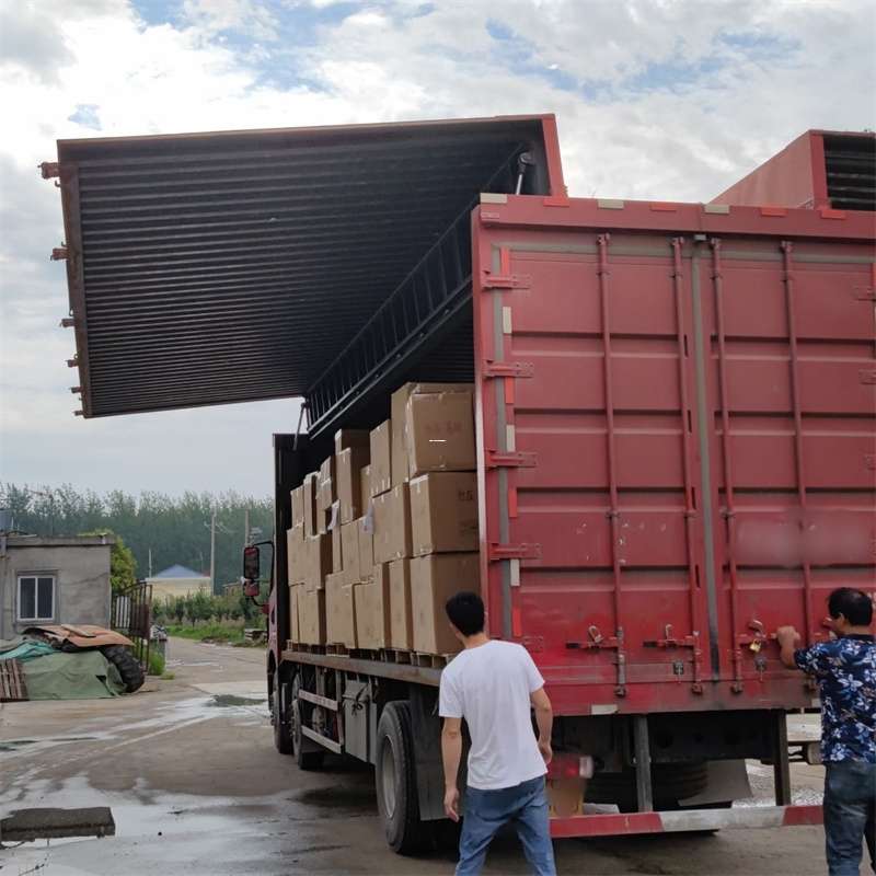 扎囊县:物流专线的高效货运之旅
